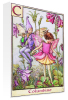 Flower Fairies art print