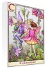 Flower Fairies art print