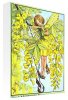 Flower Fairies art print