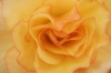 Richard Osbourne art print