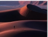 David Noton art print