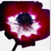 Ian Winstanley art print