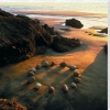 Martin Hill art print