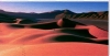 David Noton art print