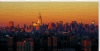 Richard Berenholtz art print