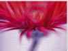 Ian Winstanley art print