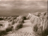 Lesley Aggar art print