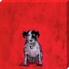 Sam Toft art print