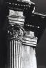 Marcato art print