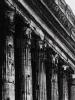 Marcato art print
