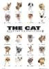 Maxi Posters art print