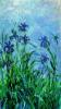 Claude Monet art print