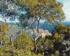Claude Monet art print