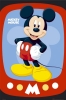 Maxi Posters art print