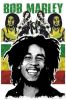 Maxi Posters art print