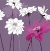 Kate Knight art print
