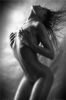 Maxi Posters art print