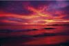Maxi Posters art print