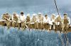 Charles C. Ebbets art print