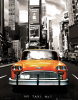 Mini Posters art print
