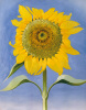 Georgia O'Keeffe art print