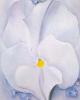Georgia O'Keeffe art print