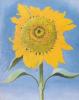 Georgia O'Keeffe art print
