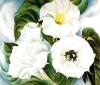 Georgia O'Keeffe art print