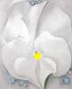 Georgia O'Keeffe art print