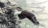 Ron Parker art print