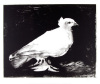 Pablo Picasso art print