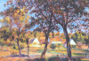 Pierre Auguste Renoir art print