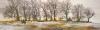 Peter Sculthorpe art print