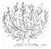 Henri Matisse art print