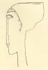 Amedeo Modigliani art print