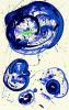 Sam Francis art print