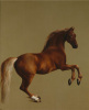 George Stubbs art print
