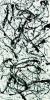 Jackson Pollock art print