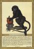Tavola art print