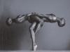 Howard Schatz art print