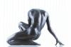 Howard Schatz art print