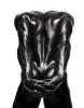 Howard Schatz art print