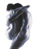 Howard Schatz art print