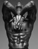 Howard Schatz art print