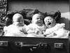 Babies Collection art print