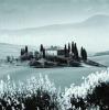 Stuart Black art print