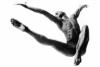 Howard Schatz art print