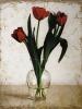 Tania Darashkevich art print
