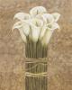 Herv� Libaud art print