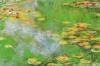 Claude Monet art print